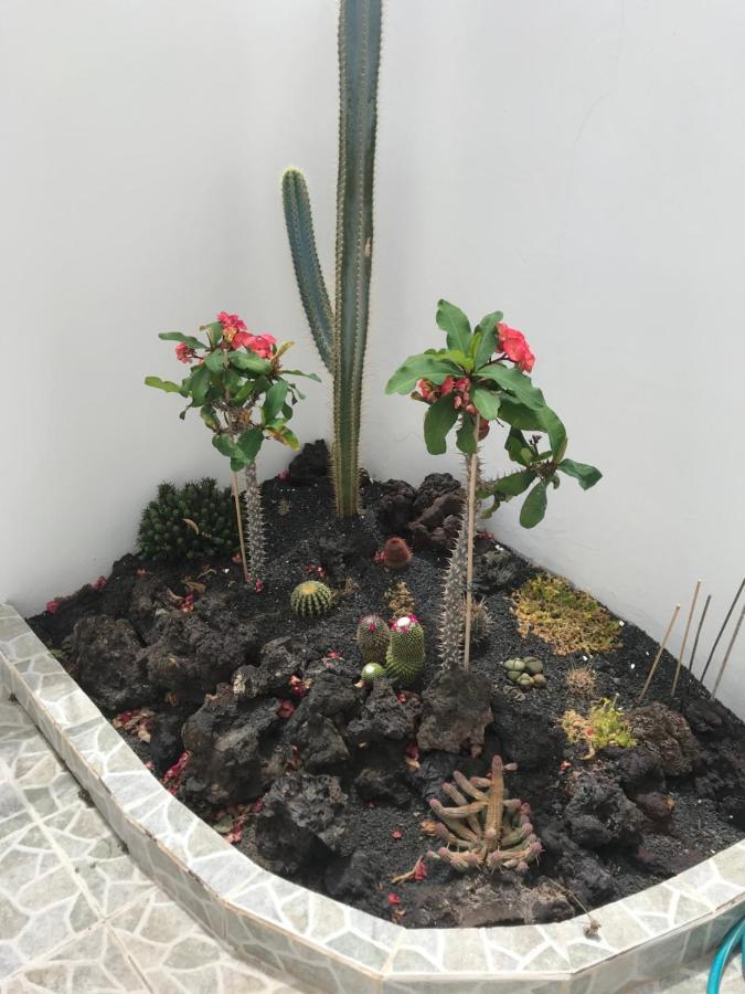 Apartamento Piscis Puerto del Carmen  Buitenkant foto